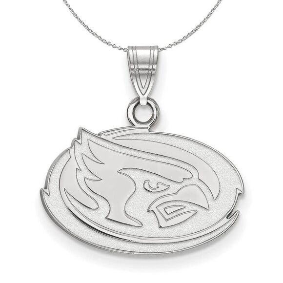 Sterling Silver Iowa State Small Oval Disc Necklace - 24 Inch - Picture 1 of 8
